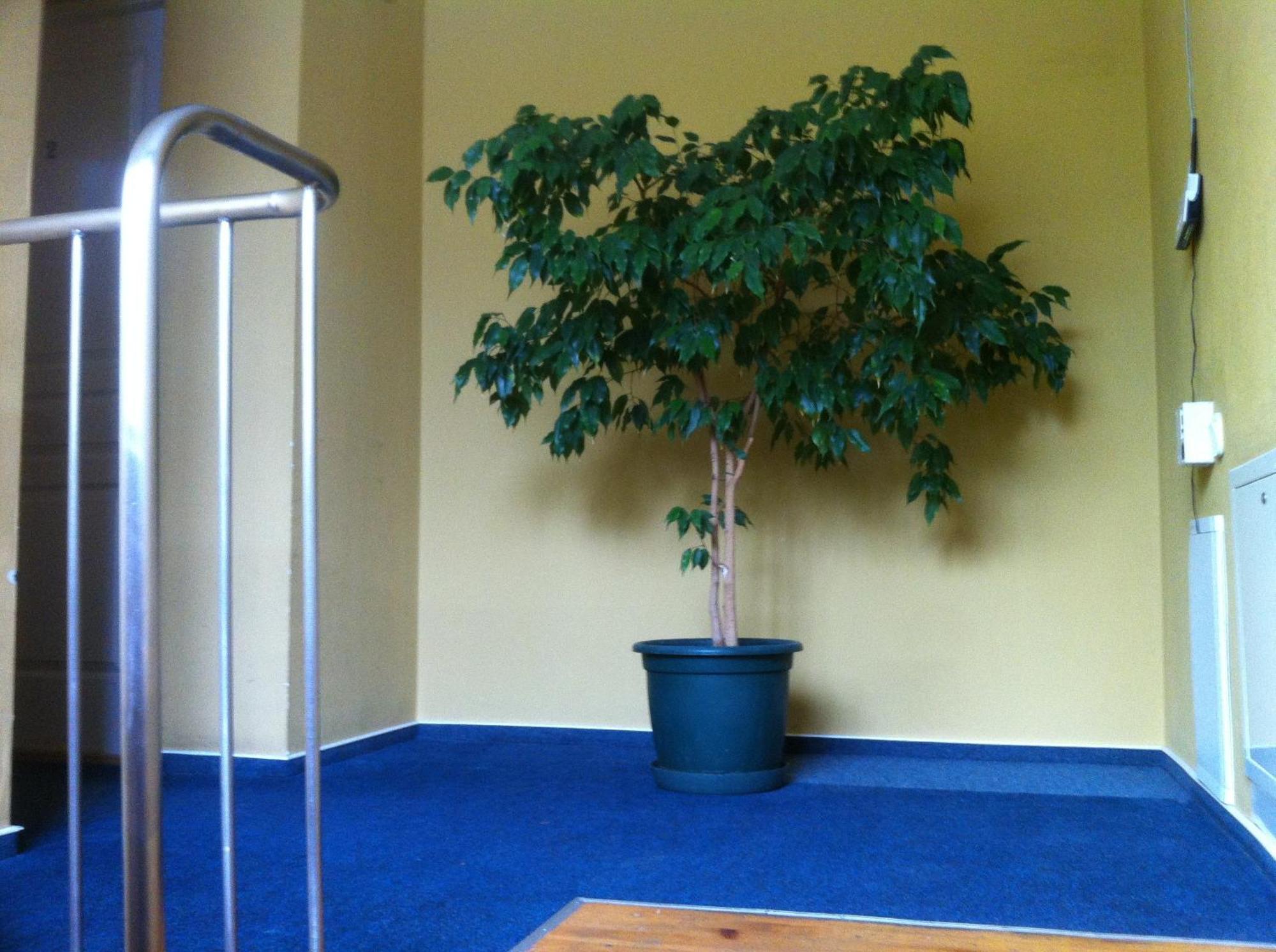 Info Hotel Apartments Palanga Kültér fotó